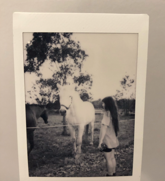 Pegasus